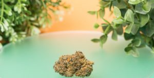Daily Deals On Your Favorite Cannabis Products