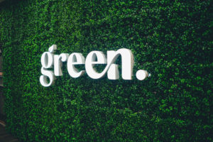 Green Dispensary is Giving Cannabis Back to the People