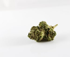 Congress’ Stand Against Cannabis and the MORE Act
