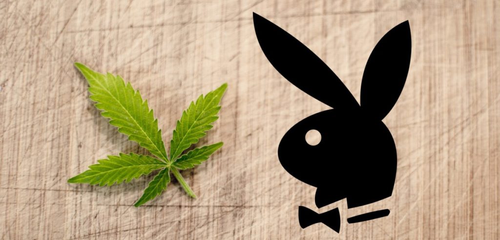 Playboy cannabis candid chronicle culture and cannabis lv