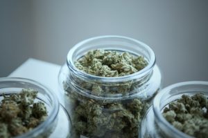 The Gold-Plated Standard of Cannabis: A Chat With the Chamber of Cannabis