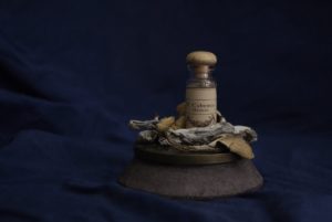 Psilocybin Medicine in Veteran Health
