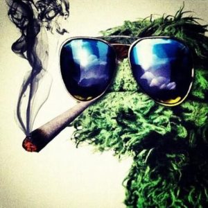 5 Ways To Choose Great 420 Cannabis