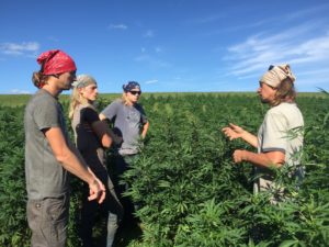 Wisconsin Farmers Hope to Stay Afloat With Hemp