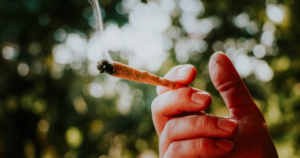 Wisconsinites Turn to Delta-8 While Awaiting Cannabis Legalization