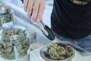 Michigan Cannabis License Holders Frustrated With Registered Caregivers