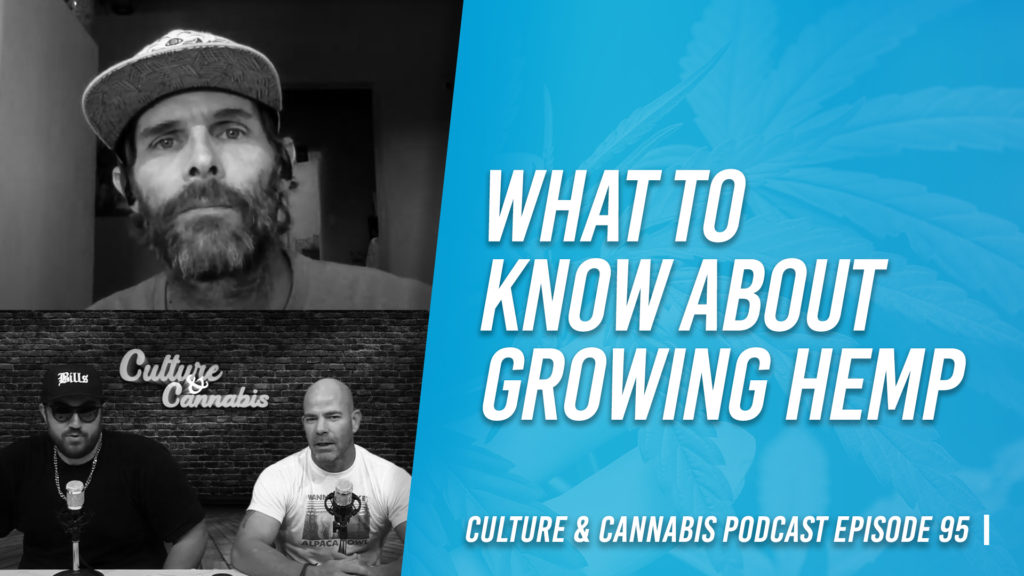 what to know about growing hemp culture and cannabis podcast