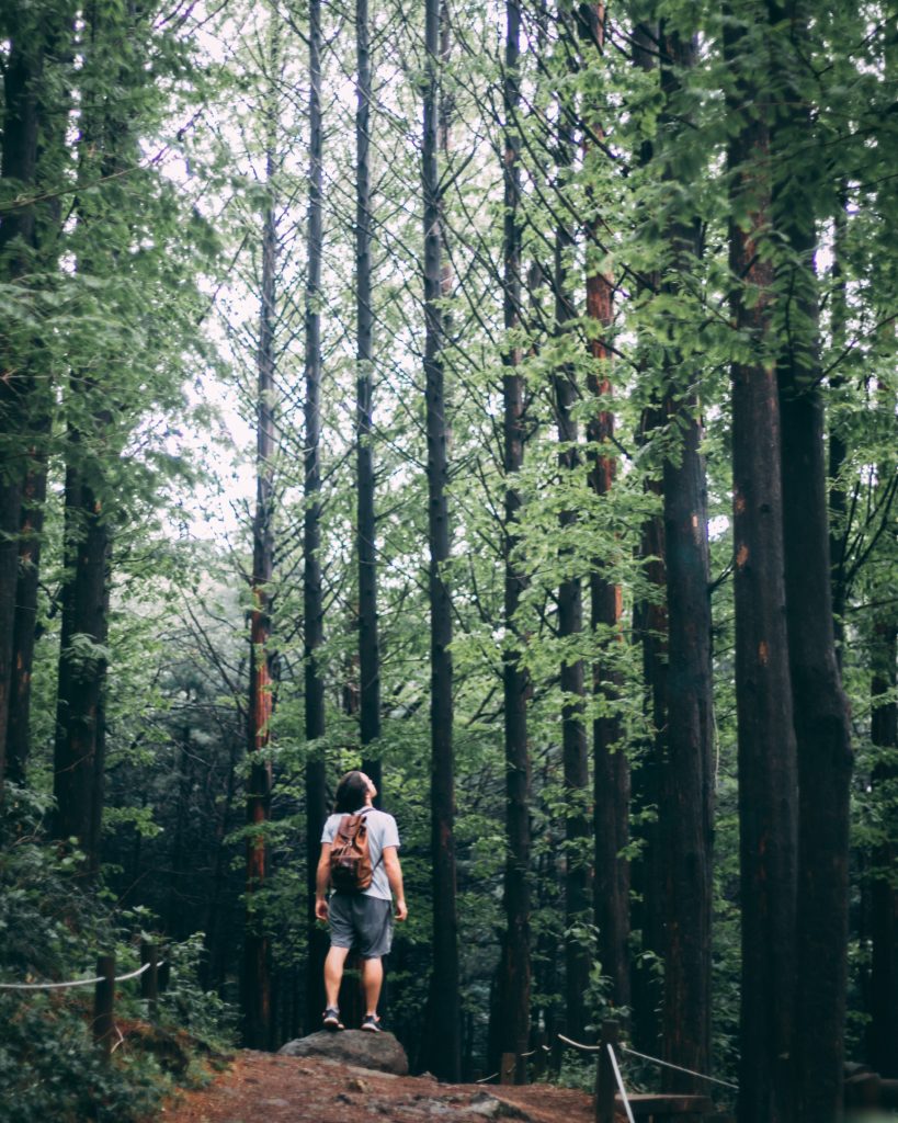 Natural Health Benefits of Nature Person standing in green forest breathing in the terpenes