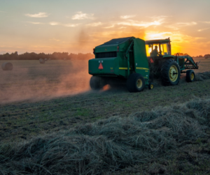 OK Legacy Farmers Fight for Craft Cannabis in Legal Market