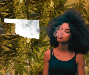 Are Oklahoma’s Low Barriers of Entry the New Golden Standard of Cannabis?