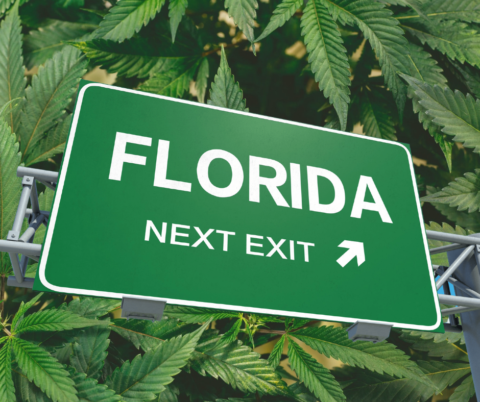 florida exit sign over cannabis leaf