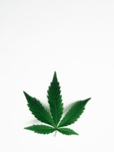 Cashless Cannabis On The Way, Valley Pay Launches Plans
