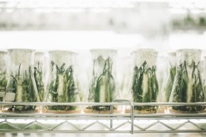 Pfizer Moves Into Cannabis With Arena Pharmaceuticals