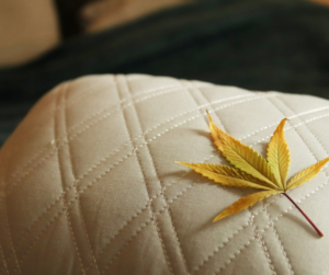 What To Expect During a Cannabis Tolerance Break