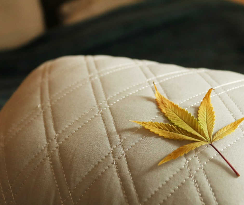 yellow weed leaf on pillow