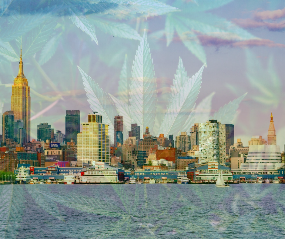 New Jersey cannabis laws