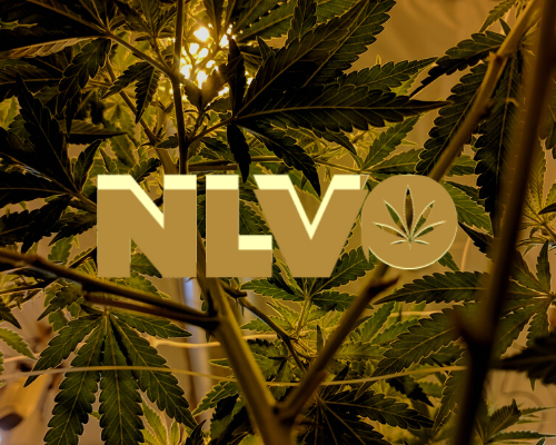 Kuno, The Veteran Created and Inspired Cannabis Brand